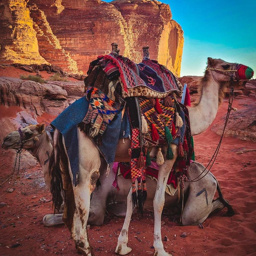 Wadi Rum Bedouin Time Exterior foto